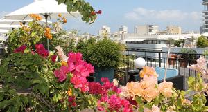 מלון סנטר שיק תל אביב - רשת מלונות אטלס