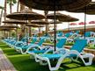 Herods dead sea