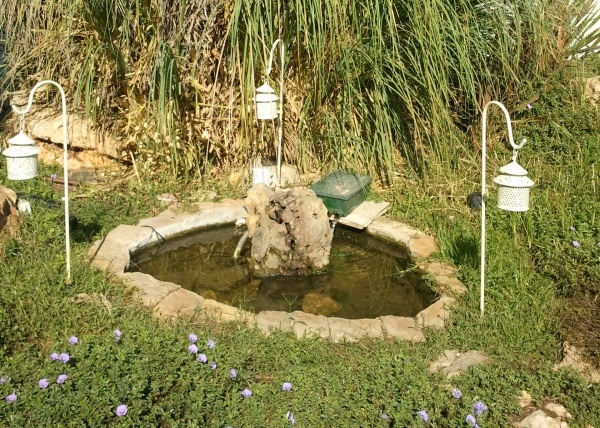 נווה אילן מרשת סי הוטלס