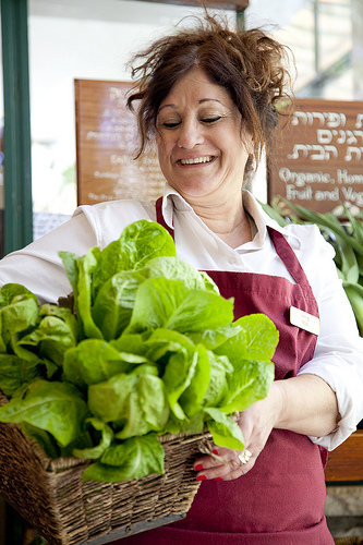 ישרוטל מצפה הימים