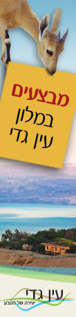 מלון עין גדי ים המלח