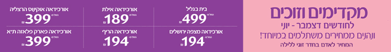 אורכידאה התשוקה לאירוח אורכידאה התשוקה לאירוח