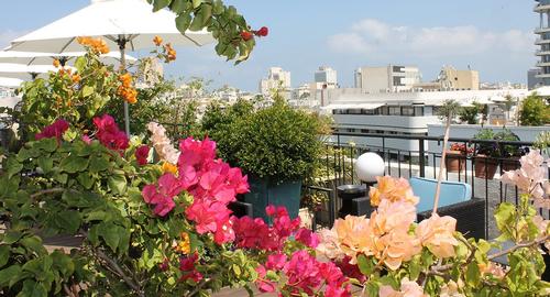 סנטר שיק תל אביב - רשת מלונות אטלס