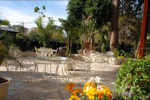 the hotel's restaurant