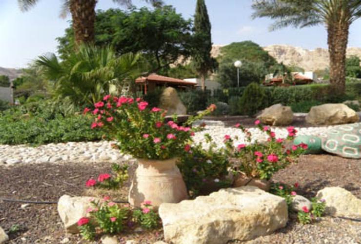 נוף