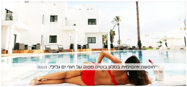 סי לייף נהריה