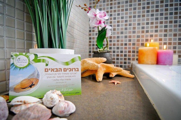 דולפין וילג'