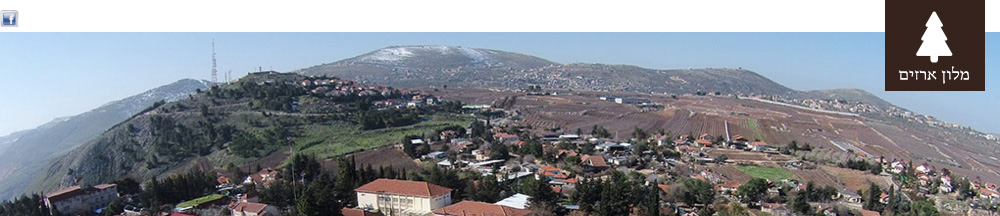 מלון ארזים מטולה