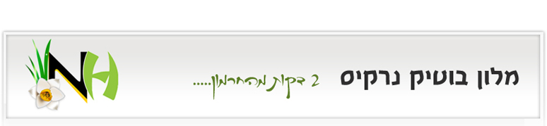 מלון בוטיק נרקיס